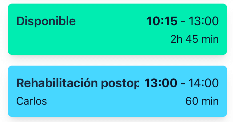 agenda digital para fisioterapeutas